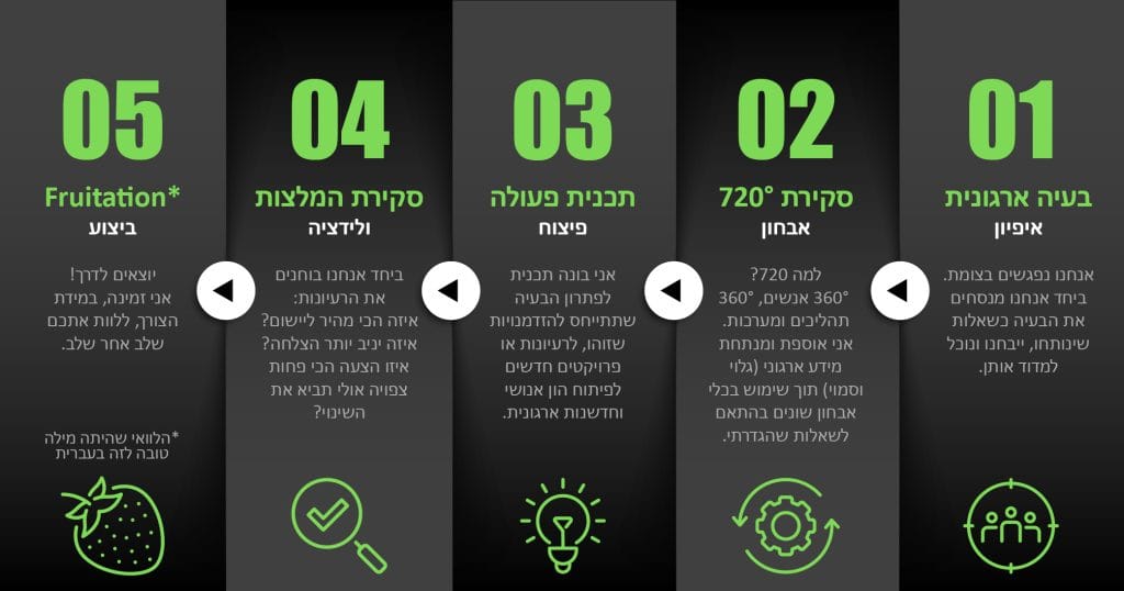 איך ייראה תהליך ניתוח ופיצוח שלי? טלי גזית אל בחר